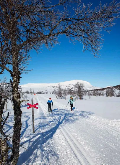 Längdåkare och ledkryss med fjäll i bakgrunden på Högfjällsspåren