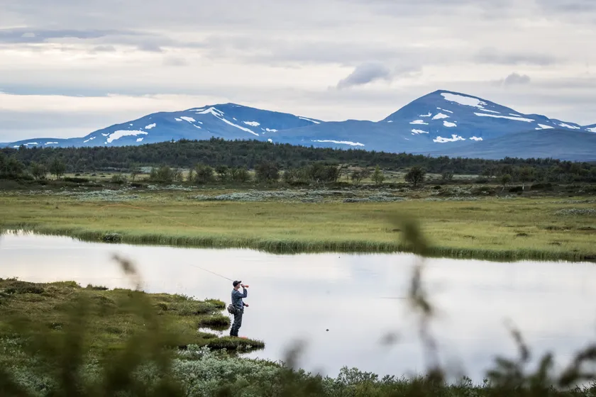 Man flugfiskar på fjället i Funäsfjällen