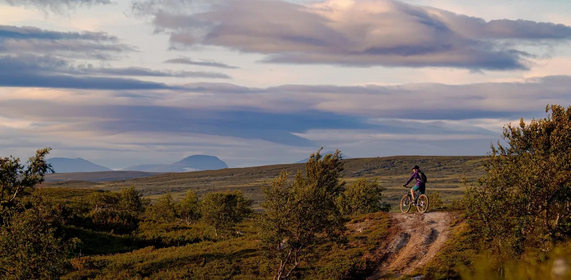 Fjällcykling med vyer