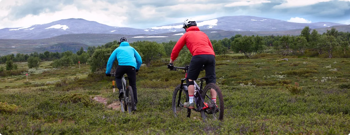 Två män cyklar mtb på en stig fjället